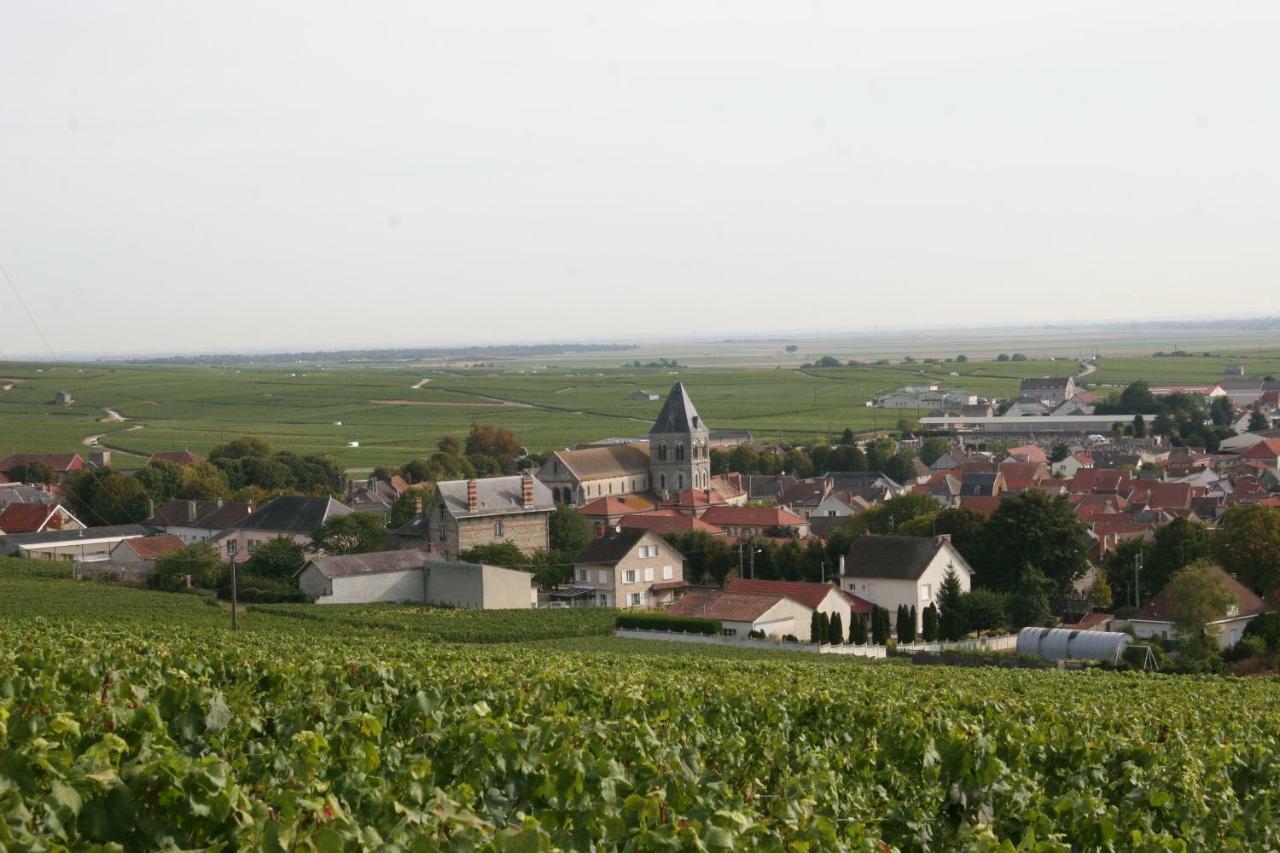 Demeure Saint Martin Bed & Breakfast Blancs-Coteaux Luaran gambar